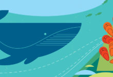 Photo of Adobe Illustrator: как создать векторную графику