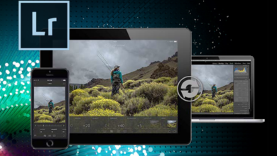 Photo of Adobe Lightroom: руководство для фотографов