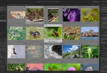 Photo of Лучшие альтернативы программы Photoshop
