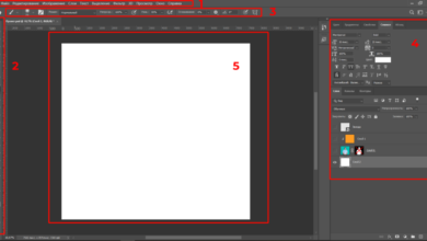Photo of Adobe Photoshop: основные функции